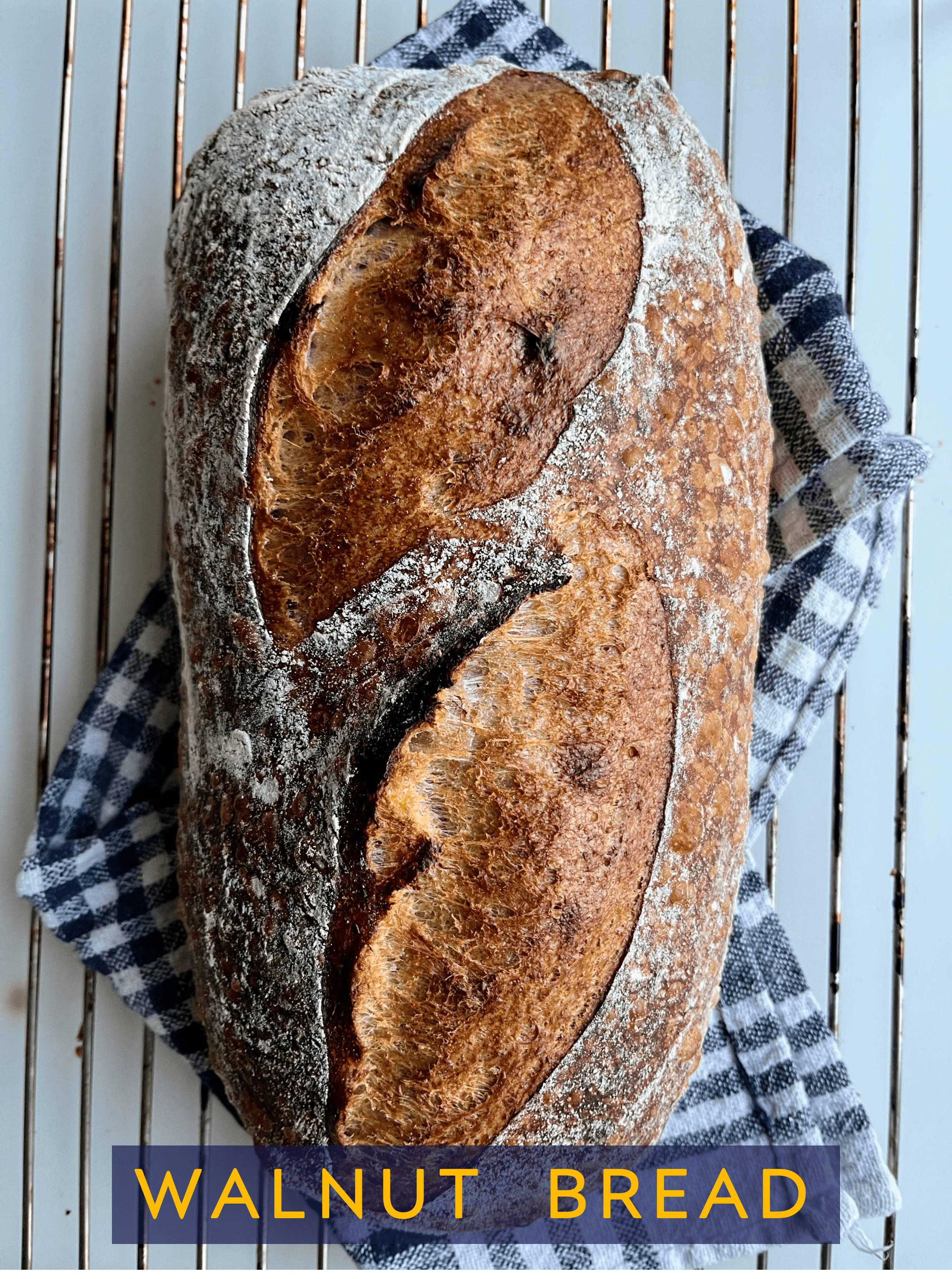 Cranberry walnut artisan sourdough loaf